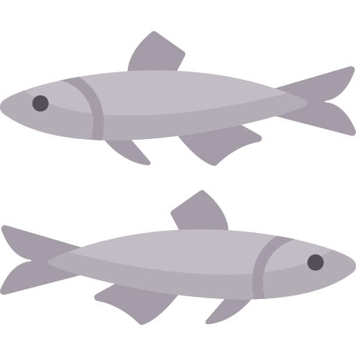 Anchovy