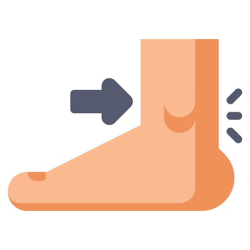 Ankle