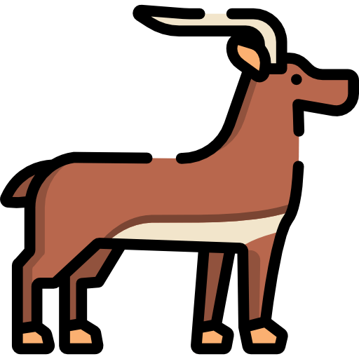 Antelope