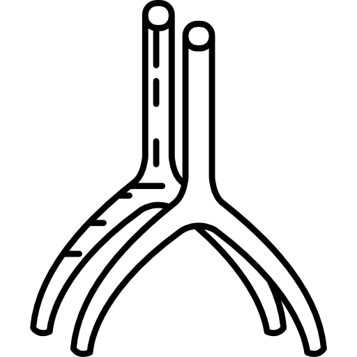 Artery
