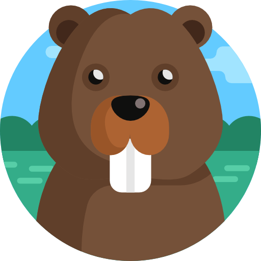 Beaver