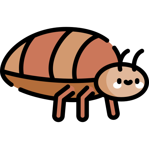 Bedbug