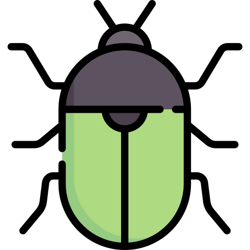Beetle