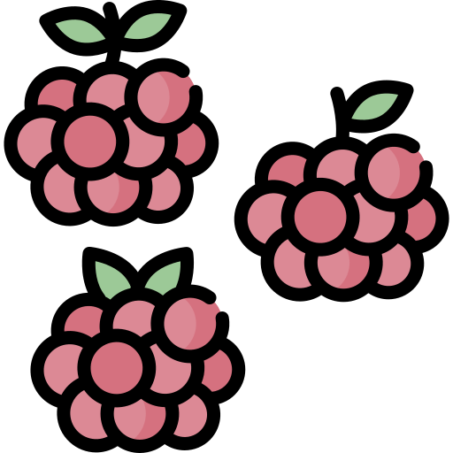 Blackberry
