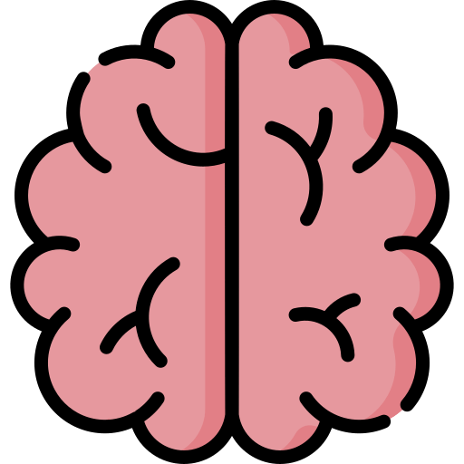 Brain