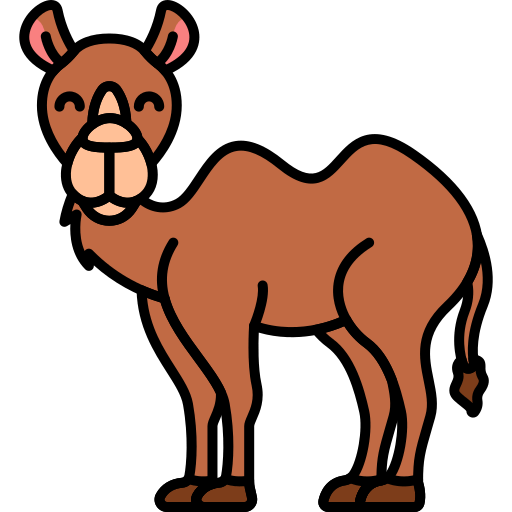 Camel