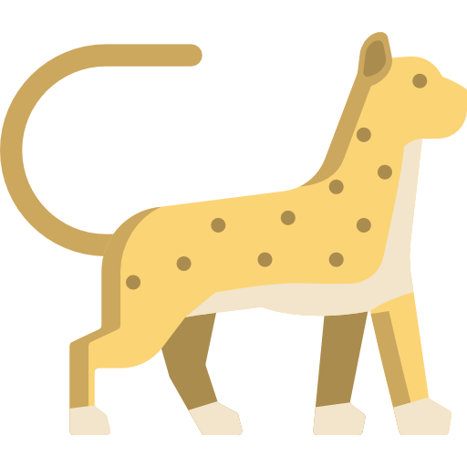 Cheetah