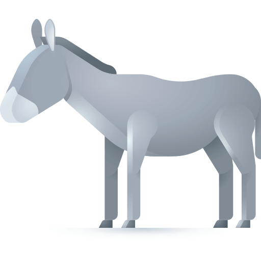 Donkey