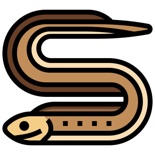 Eel