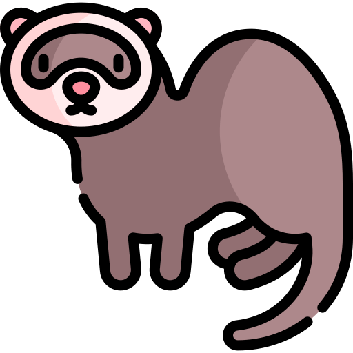 Ferret