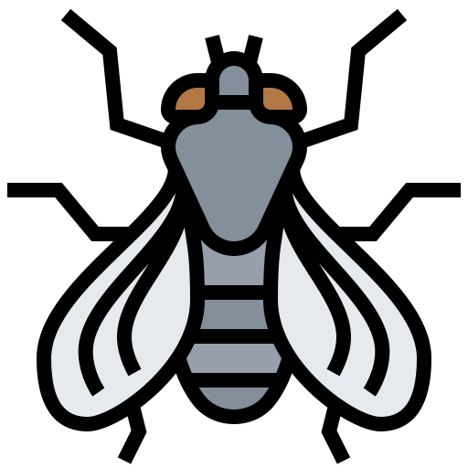 fly