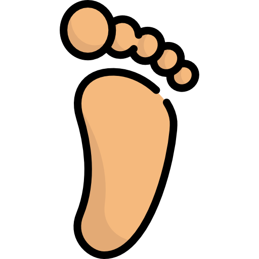 Foot