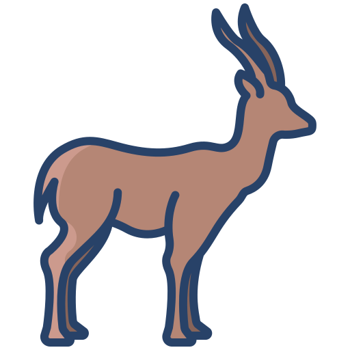 Gazelle