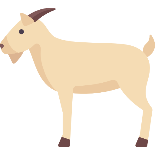 Goat