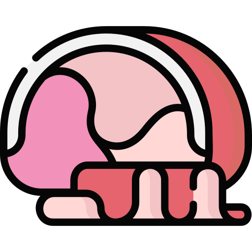 Ham