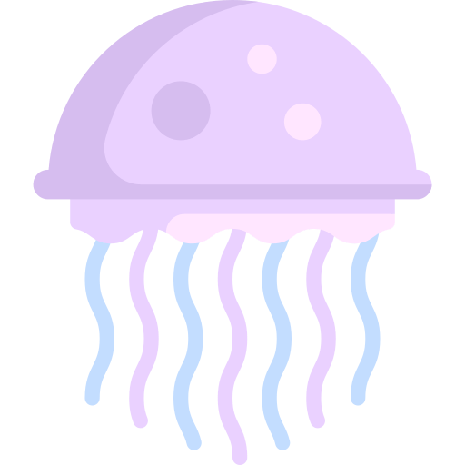 Jellyfish