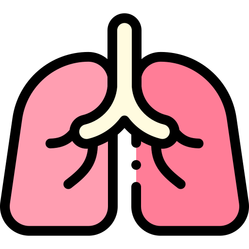 Lung