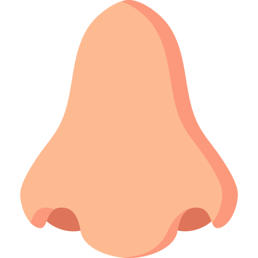 Nose