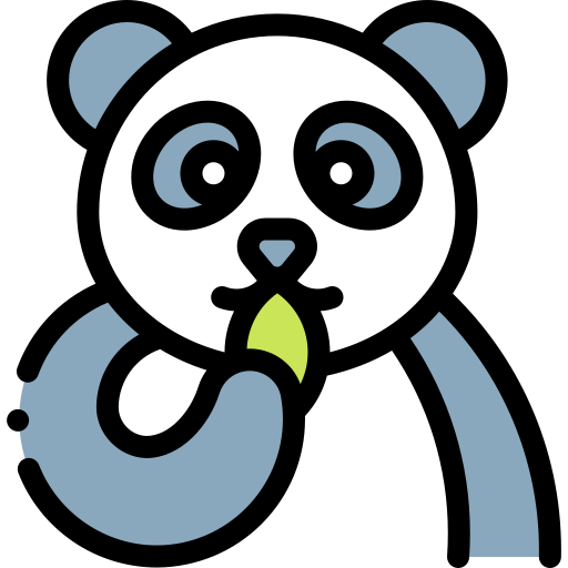 Panda bear