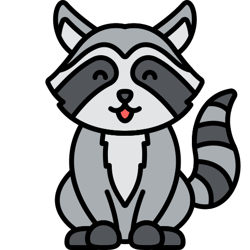Raccoon