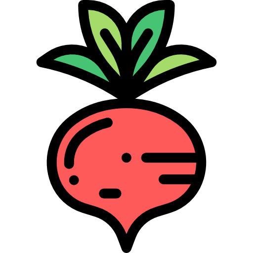 Radish