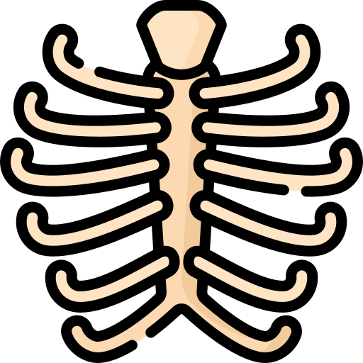 Ribs