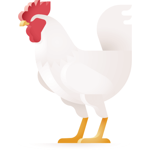 Rooster / Cock