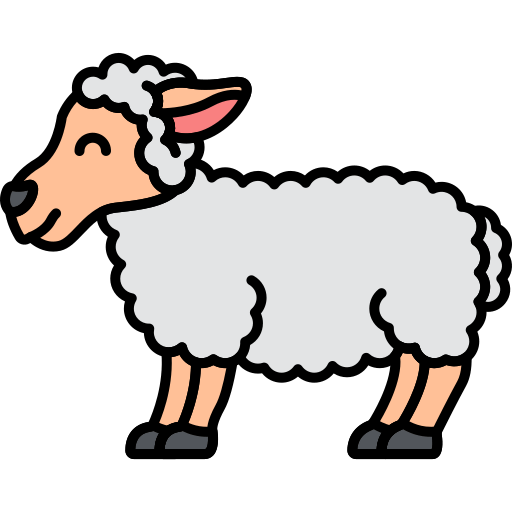 Sheep