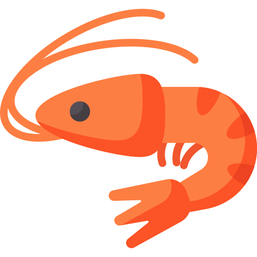 Shrimp