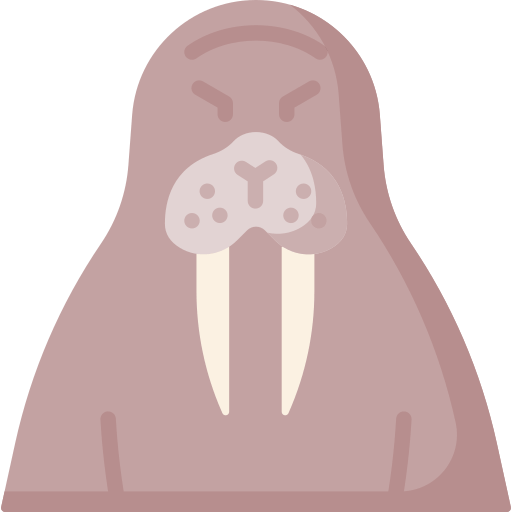 Walrus